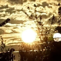 Simones Karten - Liebe & Partnerschaft - Engelkontakte - Tarot & Kartenlegen - Medium & Channeling - Hellsehen & Wahrsagen