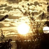 Simones Karten - Liebe & Partnerschaft - Medium & Channeling - Tarot & Kartenlegen - Hellsehen & Wahrsagen - Engelkontakte