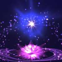Sternlein - Beruf & Finanzen - Tarot & Kartenlegen - Liebe & Partnerschaft